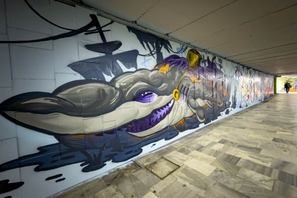 Димитър Кьосемарлиев, Dnes.bg